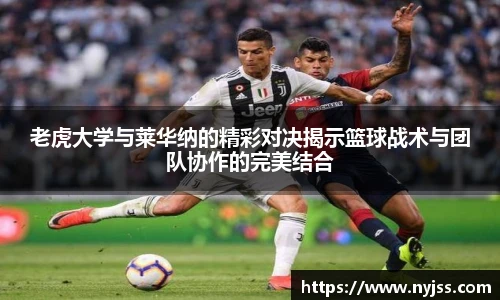 8868体育官网入口